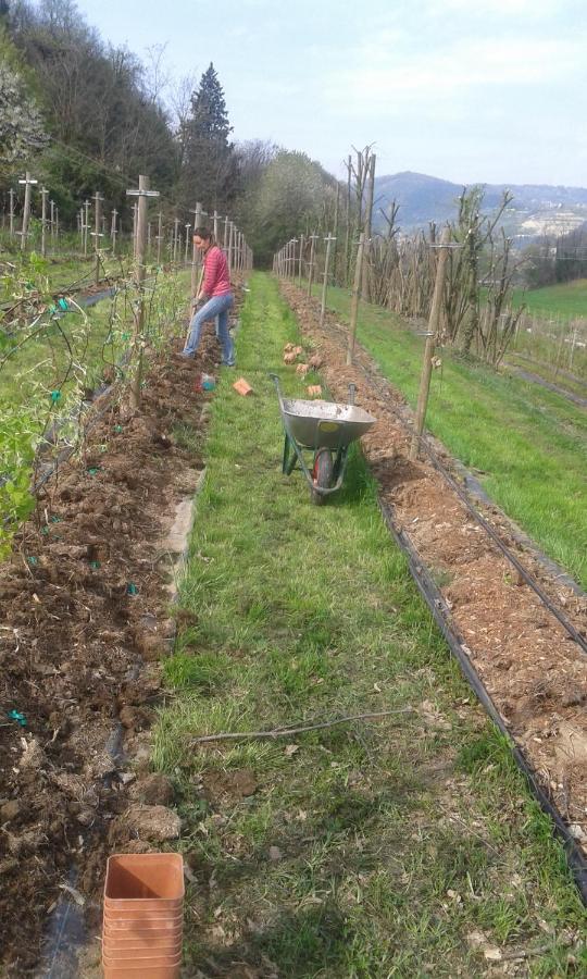 Agriturismo Terra e Lago d'Iseo Franciacorta Paratico Esterno foto